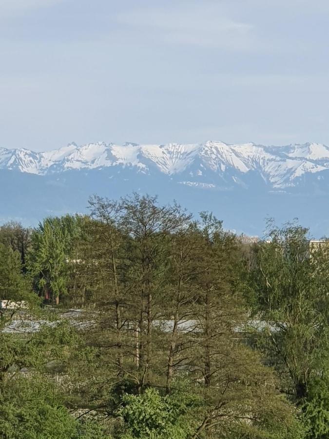 Penthouse Weitblick Mit Berg Und Seesicht Kressbronn am Bodensee Exterior foto